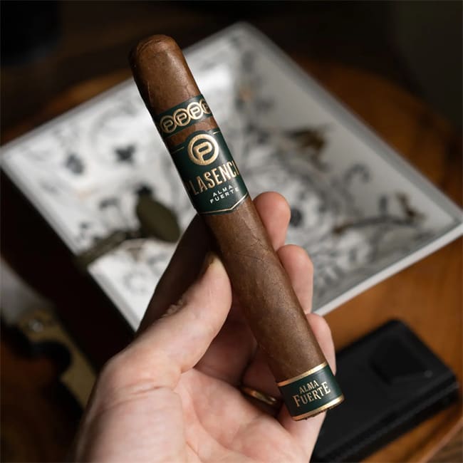 plasencia alma fuerte review6