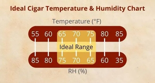tableau température et humidité cigare