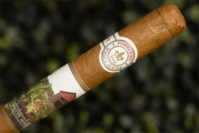 avis montecristo white series 10