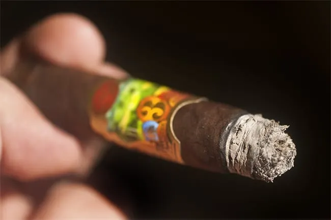 oliva master blends 3 avis6