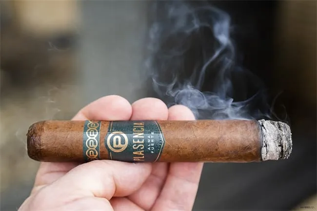 avis plasencia alma fuerte 5