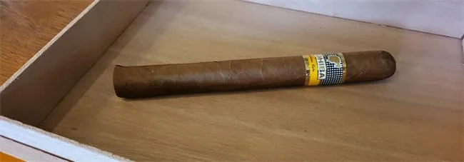 dry boxing cigar2