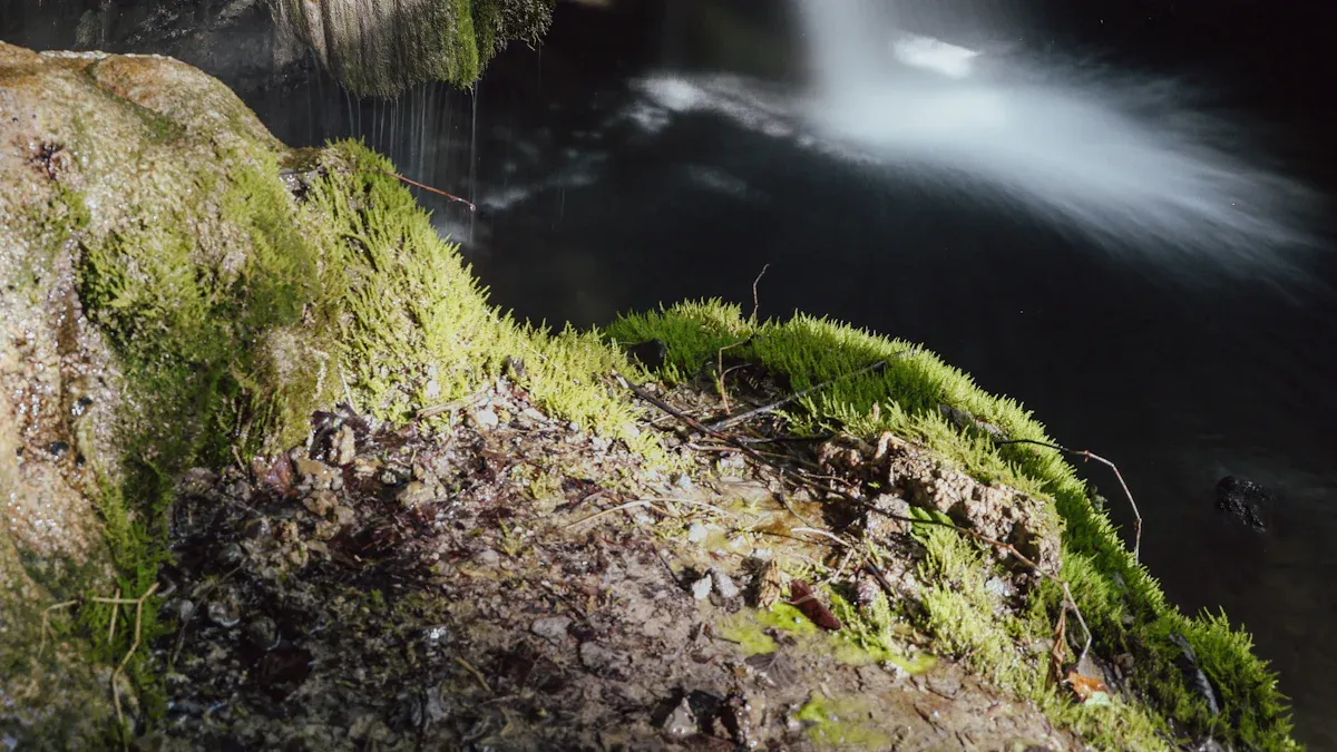 Sources de lumière naturelle dans les grottes