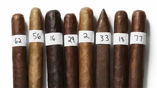 How to Tell If a Cigar is Dry or Too Moist-4 Comment savoir si un cigare est trop sec ou trop humide-4