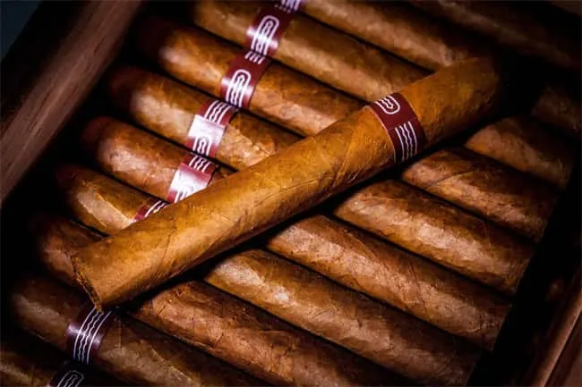 comment choisir cigar9