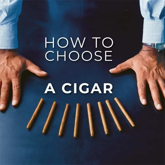comment choisir cigar1