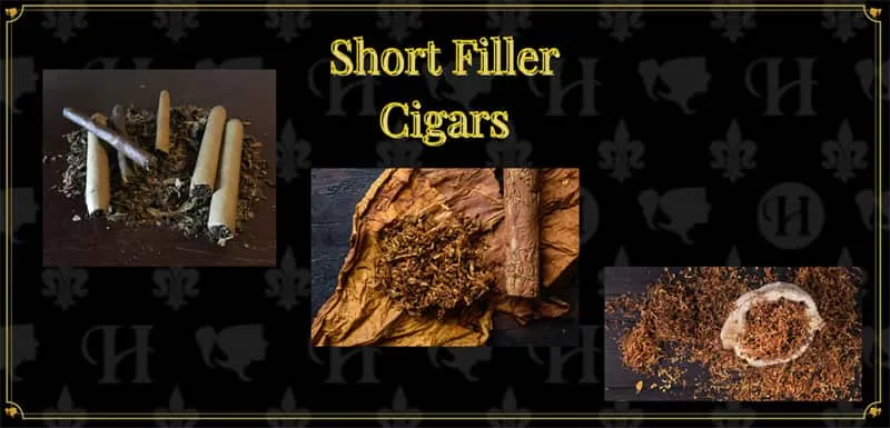 que sont les short fillers