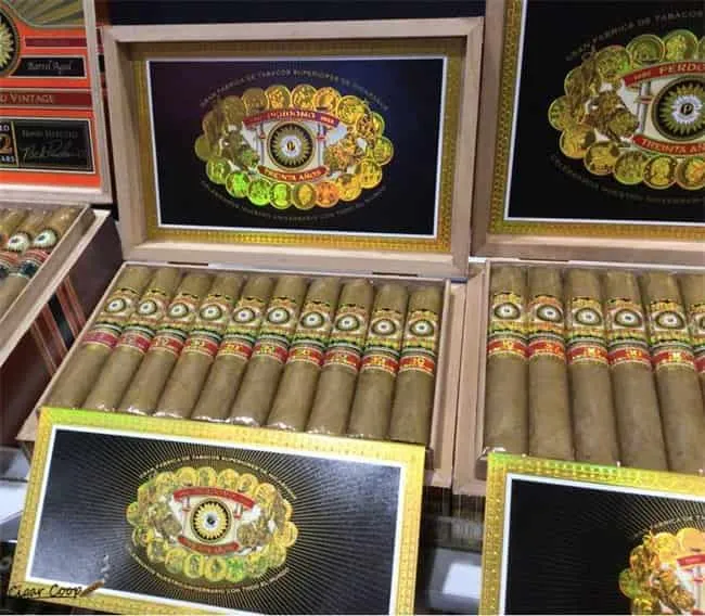 avis perdomo 30th anniversary 6